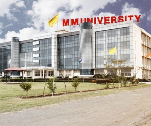 Maharishi Markandeshwar University Online Courses: Admission Guidance | Skill2Work
