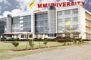 Maharishi Markandeshwar University Online Courses: Admission Guidance | Skill2Work